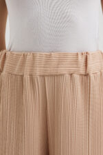 Bej Pliseli Pantolon - Görsel 8